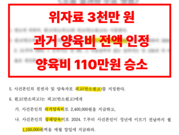 남편폭력이혼